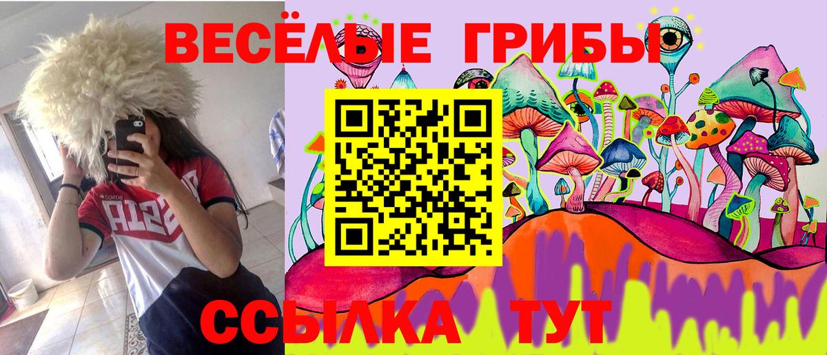 Лесосибирск  Псилоцибиновые грибы мухоморы  Галлюциногенные грибы MAGIC MUSHROOMS  даркнет сайт  Вход с VPN 