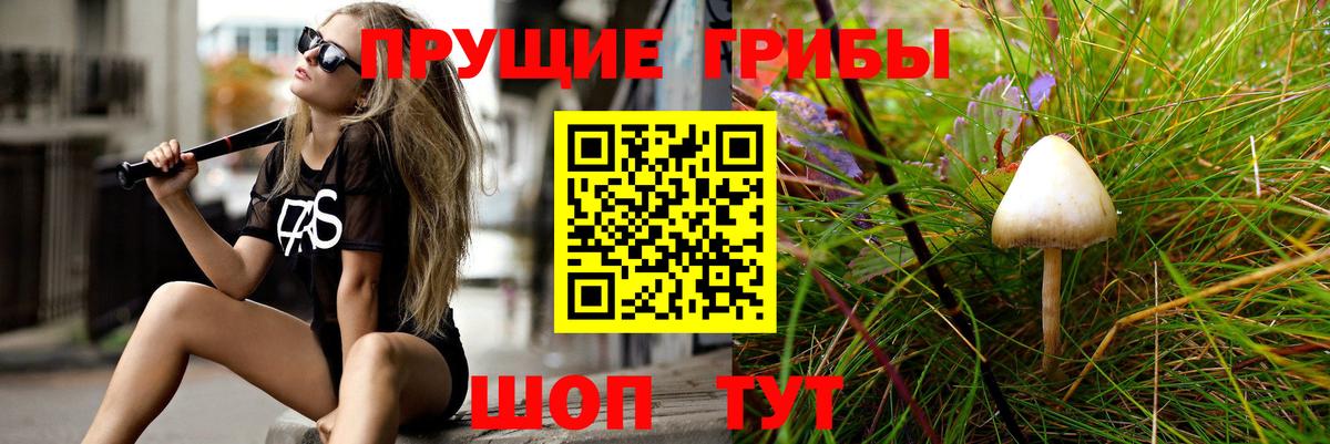 Галлюциногенные грибы MAGIC MUSHROOMS Лесосибирск